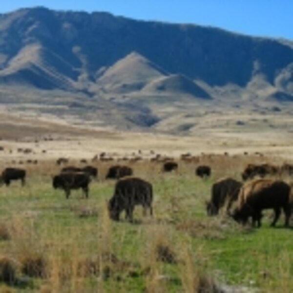 saltlake2