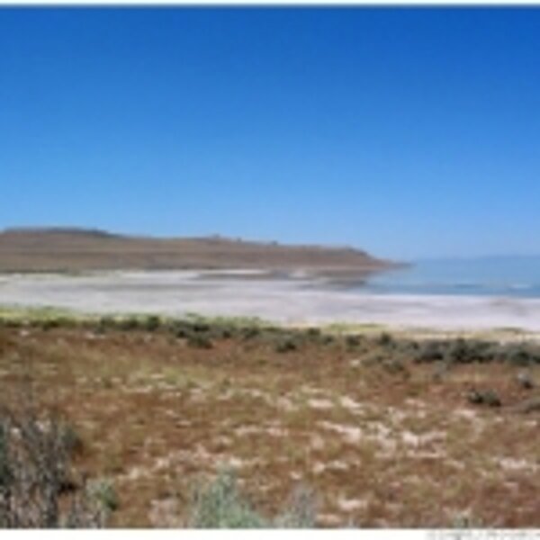 saltlake3