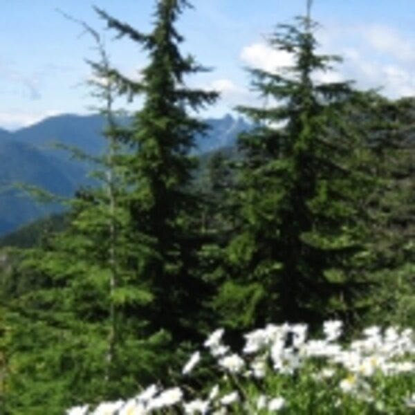 vancouvernorthshore2